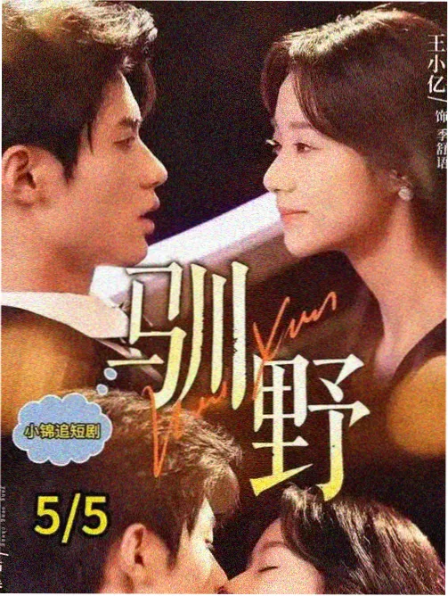 结构切换切片标本图